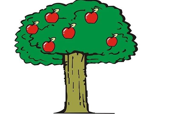 seo和sem的区别是什么--以苹果树举例